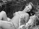 Amelia C in Flower In The Field gallery from MY NAKED DOLLS by Tony Murano - #3