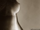 For-breast-lovers-only in For Breast Lovers Only gallery from GALLERY-CARRE by Didier Carre - #6