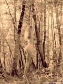 Sylvie in In The Woods gallery from GALLERY-CARRE by Didier Carre - #4