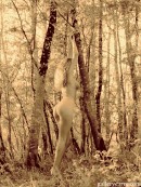 Sylvie in In The Woods gallery from GALLERY-CARRE by Didier Carre - #5