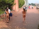 Erika in nudism gallery from ATKPETITES - #12