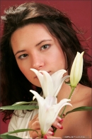 Lika in Sensual Flower gallery from MPLSTUDIOS by Alexander Fedorov - #2