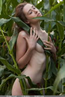 Ginger Frost in Set 5 gallery from DOMAI by Nudero - #9