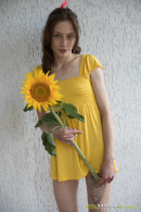 Annet in Sweetie Plays With Sunflower And Dildo gallery from NOBORING - #7
