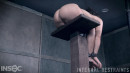 Gabriella Paltrova in Pussy On A Perch gallery from INFERNALRESTRAINTS - #11