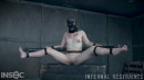 Bambi Belle in Chrysalis gallery from INFERNALRESTRAINTS - #12