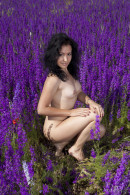 Maliko in Lavender Dreams gallery from EROTICBEAUTY by Marlene - #6