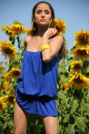 Anna F in Sunflowers gallery from METMODELS by Oleg Morenko - #4