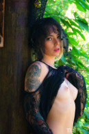 Samira in Erotic Jungle 1 gallery from THELIFEEROTIC by Denis Gray - #7