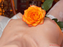Vera in Catch This Rose gallery from MY NAKED DOLLS by Tony Murano - #15