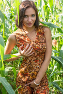 Oxana Chic in Corn Field gallery from METART-X by Tora Ness - #14