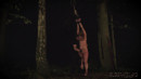 Alexa Flexy in Birth Of A Slave gallery from SUBSPACELAND - #11