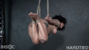 Kingsley in Rope Royalty gallery from HARDTIED - #3