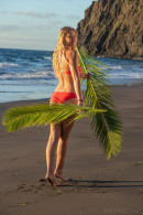 Casey in Palm Fronds gallery from METART by Tora Ness - #1