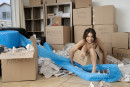 Liv Wild in Moving Day gallery from METART by Charles Lightfoot - #2