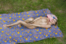 Gwinnett in I Sunbathing On The Grass gallery from STUNNING18 by Thierry Murrell - #10