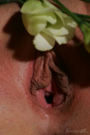 Stella S in Pussy In Flowers gallery from STUNNING18 by Thierry Murrell - #12