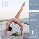 Melina D in Flex gallery from FEMJOY by Stig Brigin - #1