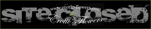 EROTIC-FLOWERS 520px Site Logo
