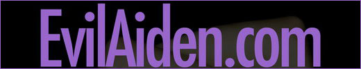 EVILAIDEN 520px Site Logo