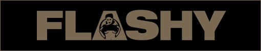 FLASHYBABES 520px Site Logo
