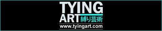 TYINGART 520px Site Logo