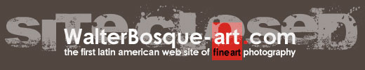 WALTERBOSQUE 520px Site Logo