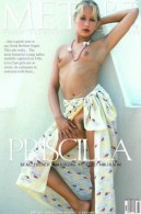 Priscilla
ICGID: PX-00MD