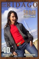 Sandy
ICGID: SX-00WD
