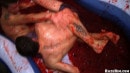 Jelly Wrestling Jelly Wrestling