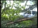 A Guy Films A Couple Having Sex In A Car On His Private Land A Guy Films A Couple Having Sex In A Car On His Private Land