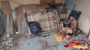 Leo Ogro & Arianny Koda Rj in Gordinha Gostosa Deu O Cu Para O Cunhado Na Casa Abandonada video from ANALVIDS