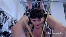 MistressAe in Inside The Training 17: Pig Suspended And Anally Fisted video from ANALVIDS