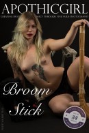 Rosenye in Broomstick gallery from APOTHICGIRL by Kirsten D