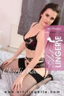 Charlie Rose in  gallery from ART-LINGERIE