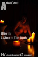 Ellie Roe in A Shot In The Dark gallery from ARTCORE-CAFE by Andrew D