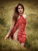 Dominica in Spring Field gallery from ARTOFDANWORLD by Artofdan