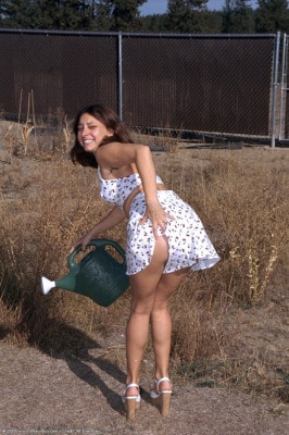 Ginger  from ATKEXOTICS