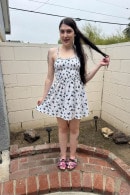 Daydream Daisy in AMATEURS SERIES  9 gallery from ATKGALLERIA