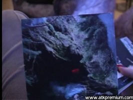 Katerina  from ATKPREMIUM