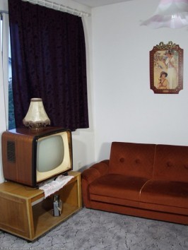 Elena  from ATKPREMIUM