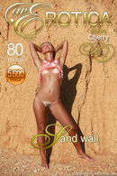 Cherry in Sand Wall gallery from AVEROTICA ARCHIVES by Anton Volkov