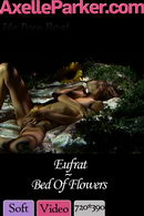 Eufrat in Bed Of Flowers video from AXELLE PARKER