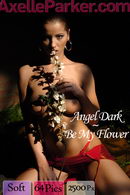 Angel Dark in Be My Flower gallery from AXELLE PARKER