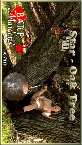 Star  from BARE MAIDENS