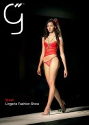 Lingerie Fashion Show