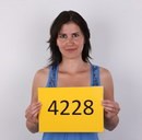 4228