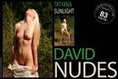 Tatyana in Sunlight gallery from DAVID-NUDES by David Weisenbarger