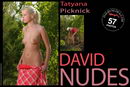 Tatyana in Picknick gallery from DAVID-NUDES by David Weisenbarger