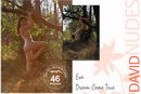 Eva in Dream Come True gallery from DAVID-NUDES by David Weisenbarger